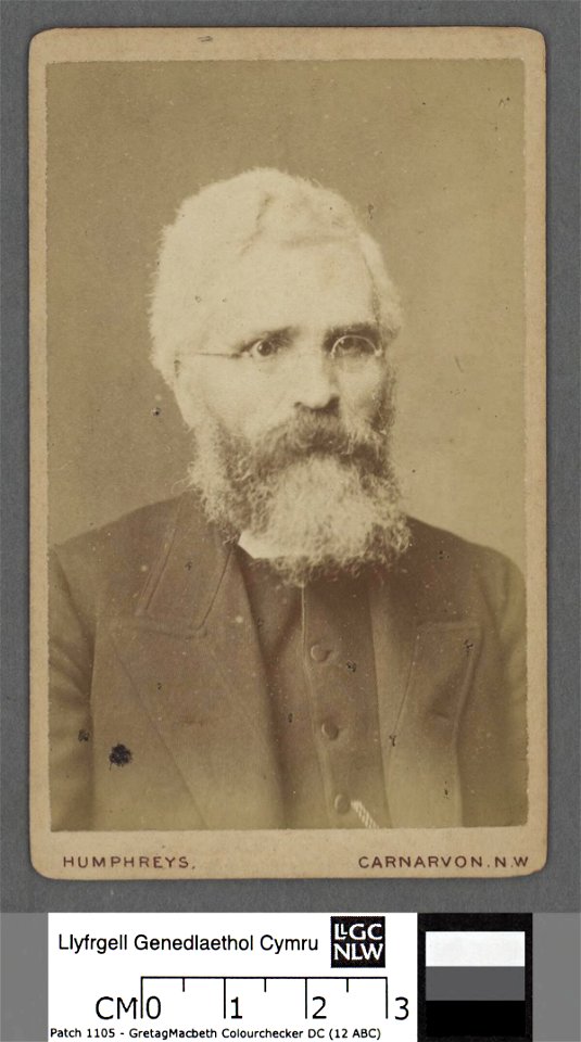 Portrait of John Roberts, 'Ieuan Gwyllt' (4670511)