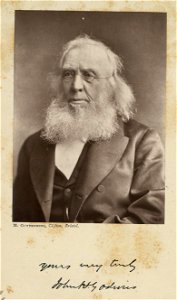 Portrait of John H. Godwin (4672760)