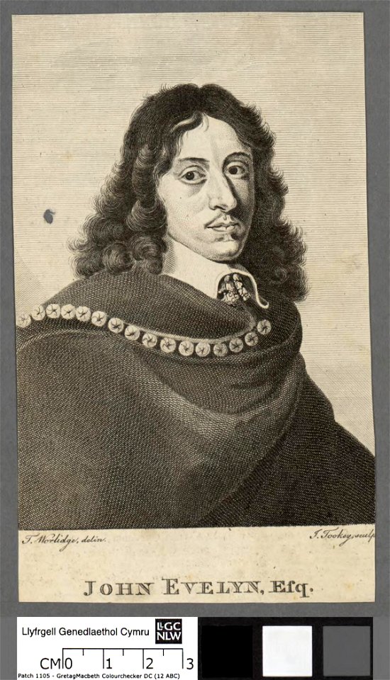 Portrait of John Evelyn, Esq (4673723)