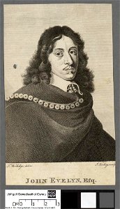 Portrait of John Evelyn, Esq (4673723)