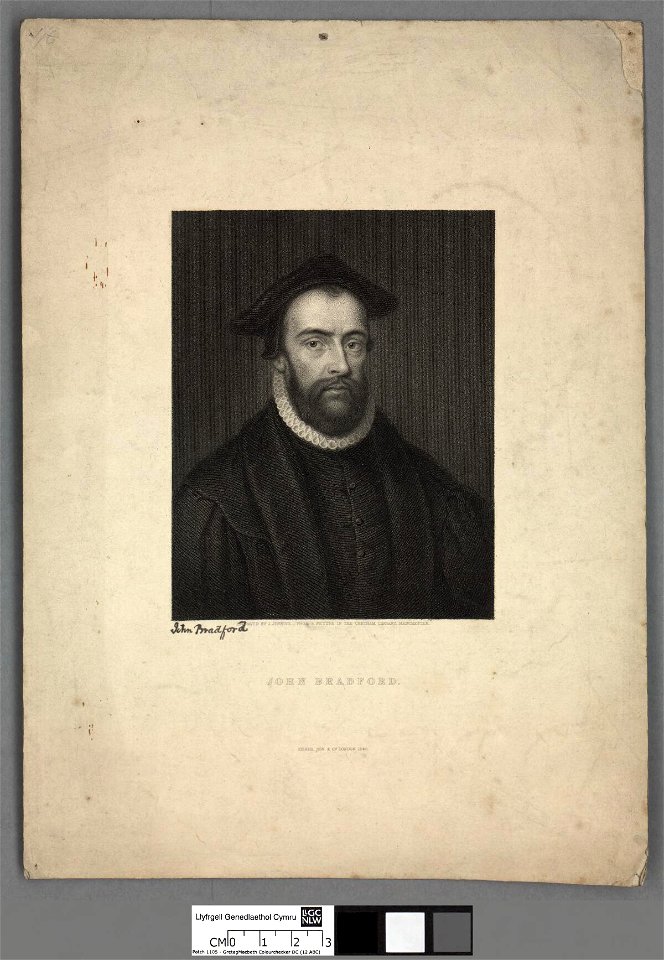 Portrait of John Bradford (4671288)