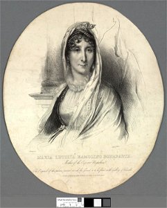 Portrait of Maria Letizia Ramolino Bonaparte (4671273)