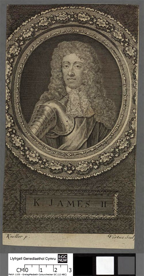 Portrait of K. James II (4673741)