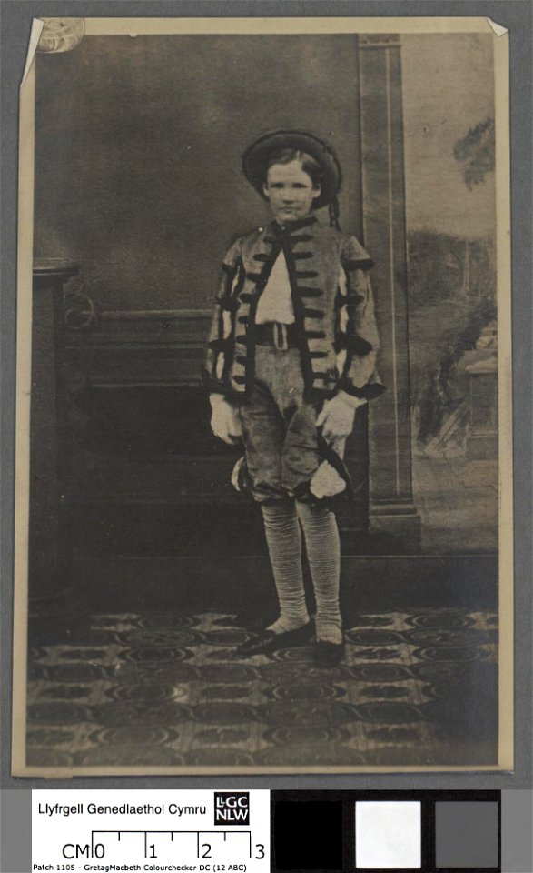 Portrait of Lord Rhondda age 10 (4671175)