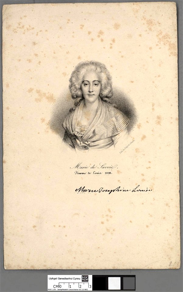 Portrait of Marie de Savoie. Femme de Louis XVIII (4671647)
