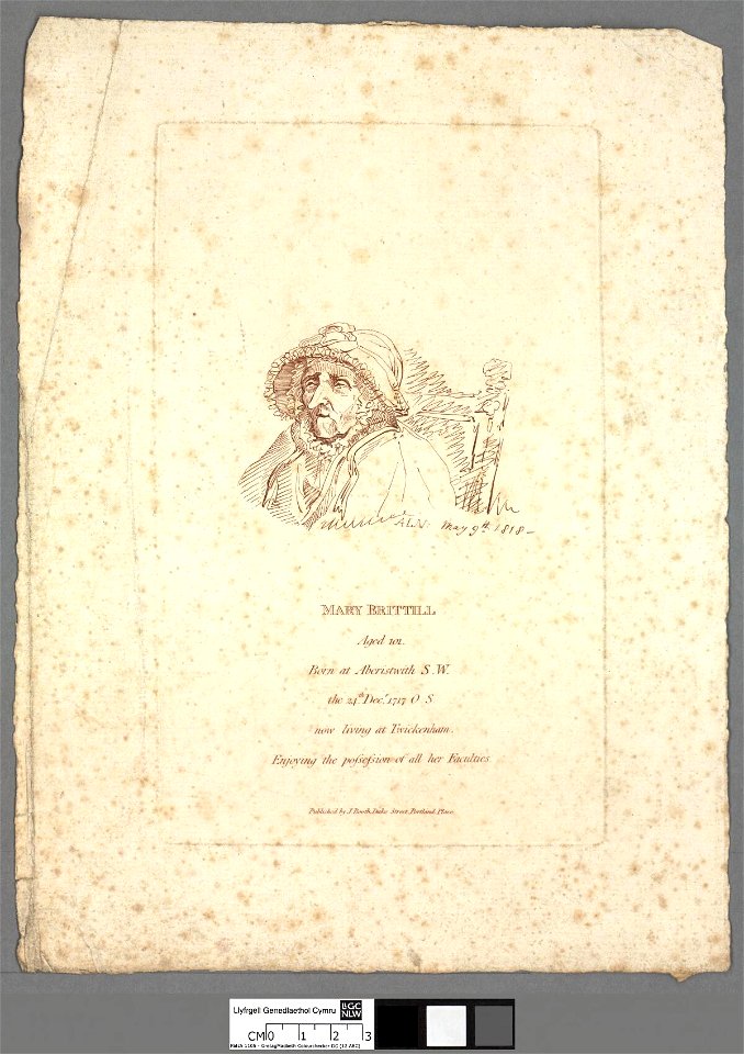 Portrait of Mary Brittill aged 101 (4671289)