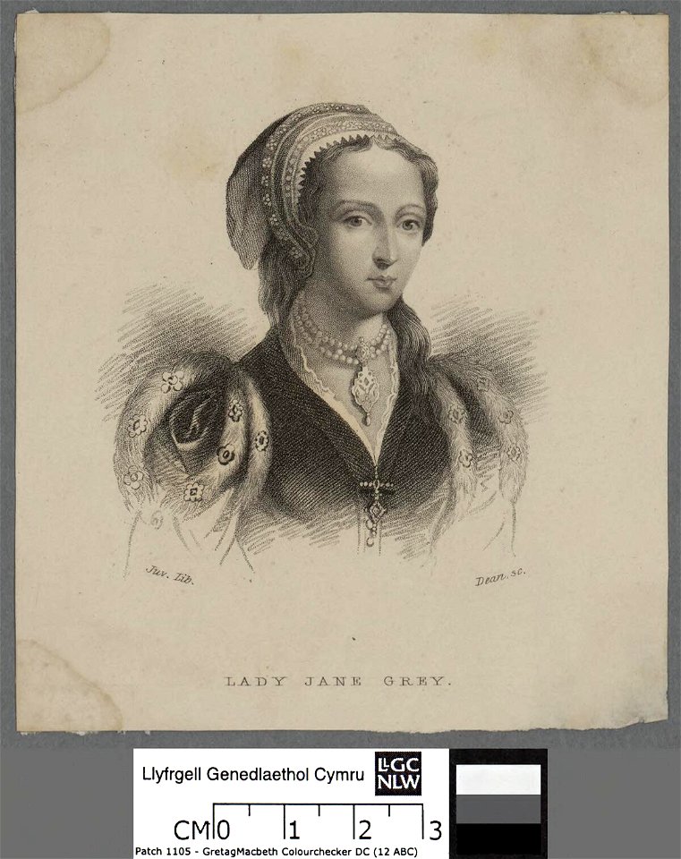 Portrait of Lady Jane Grey (4672525)