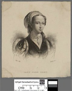 Portrait of Lady Jane Grey (4672525)