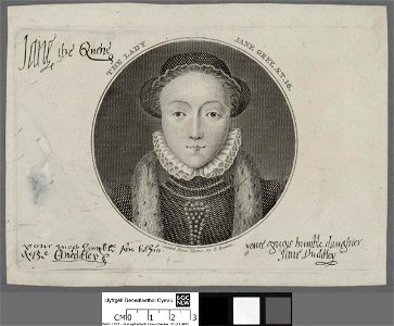Portrait of Lady Jane Grey, aet 16 (4669764)