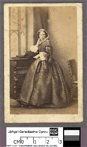 Portrait of Lady Louisa Douglas Pennant (4670445)