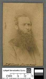 Portrait of L. W. Lewis (of Bootle, Liverpool) (4670380)