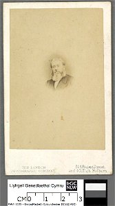 Portrait of John Jones, 'Talhaiarn' (4670570)