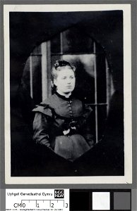 Portrait of Mrs Frances Eleanor Thomas of Llanthomas (4671177)
