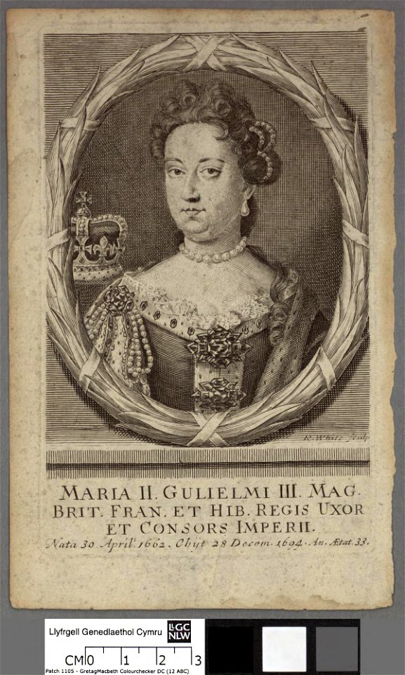 Portrait of Maria II Gulielmi III Mag Brit Fran et Hib Regis Uxor et consors Imperii (4670199)