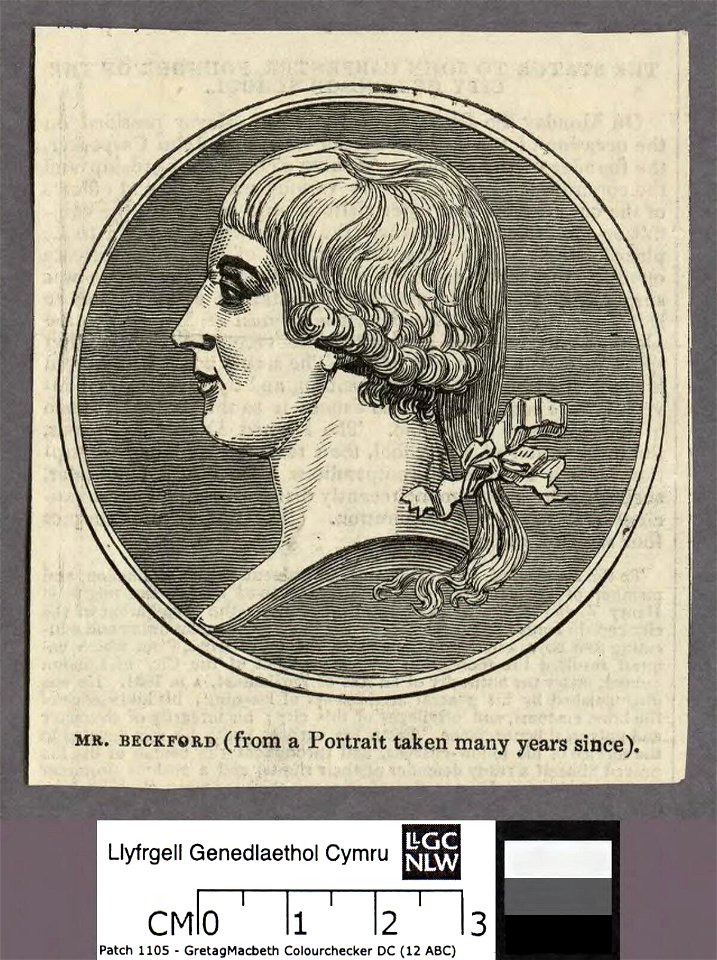 Portrait of Mr. Beckford (4673205)