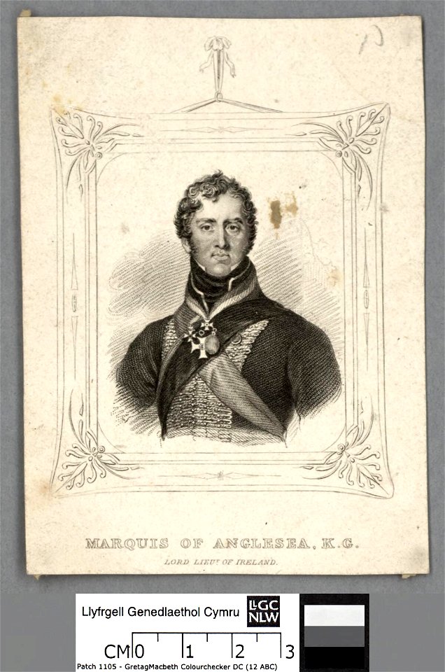 Portrait of Marquis of Anglesea, K.G (4673809)