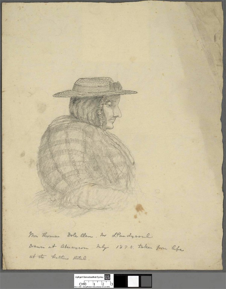 Portrait of Mrs. Thomas (Dol Llan, Llandysul) (4672060)