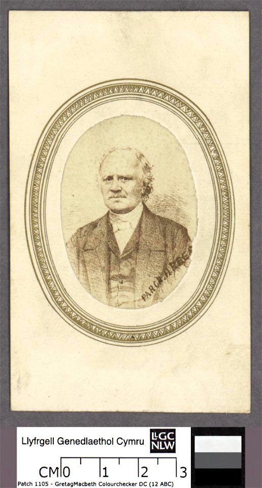 Portrait of Parch. H. Rees (4670473)