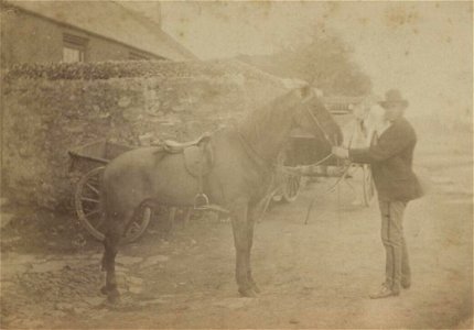 Portrait of Paul Panton Esqre. and his chestnut gelding 'The Marquiss' (4670430)