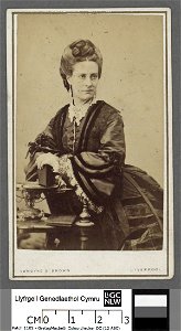 Portrait of Mrs. Elizabeth Thomas (4671178)