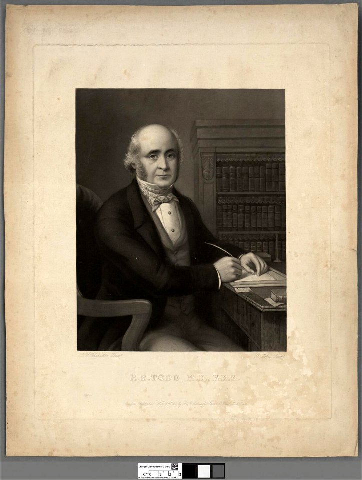 Portrait of R. B. Todd, M.D., F.R.S (4674617)