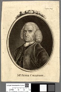 Portrait of Peter Collinson (4672819)