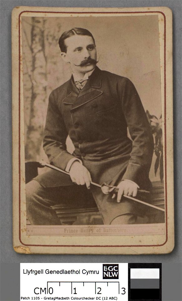 Portrait of Prince Henry of Battenberg (4673920)
