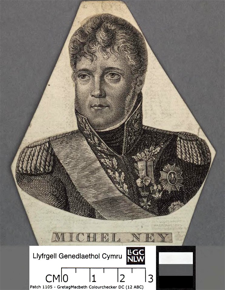 Portrait of Michel Ney (4670226)