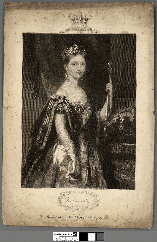 Portrait of Queen Victoria (4674621)