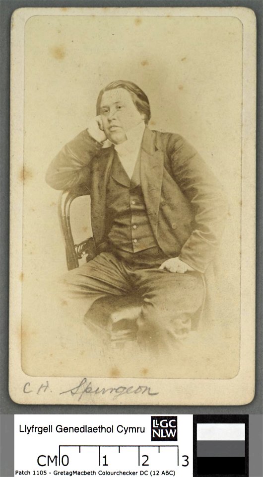 Portrait of Rev C. H. Spurgeon (4671162)