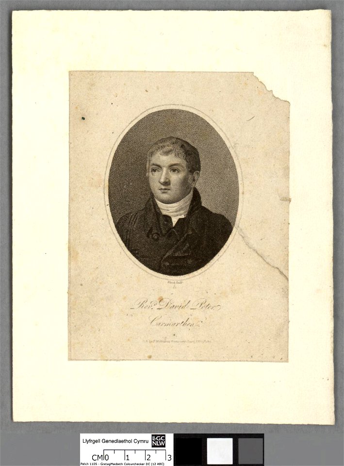 Portrait of Revd. David Peter, Carmarthen (4669880)
