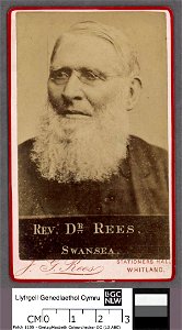 Portrait of Rev. Dr. Rees, Swansea (4670480)