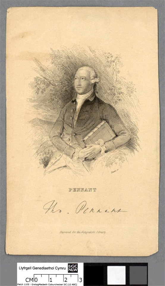 Portrait of Pennant (4673982)
