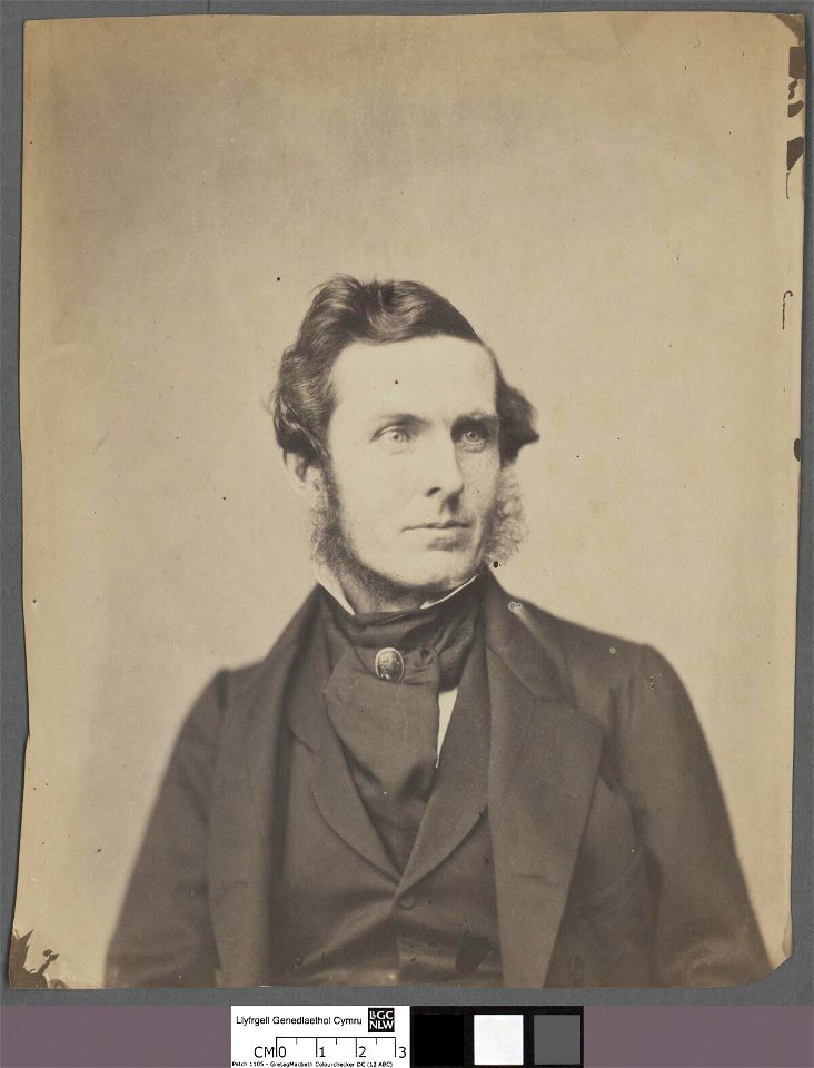 Portrait of Rev. Iltyd Nicholl (4671906)