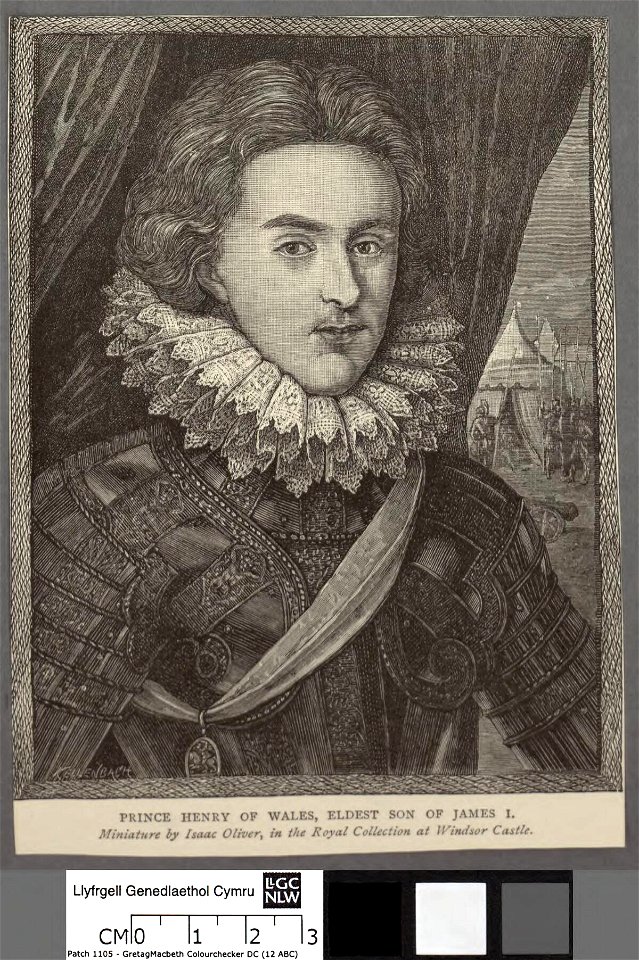 Portrait of Prince Henry of Wales, eldest son of James I (4672581)