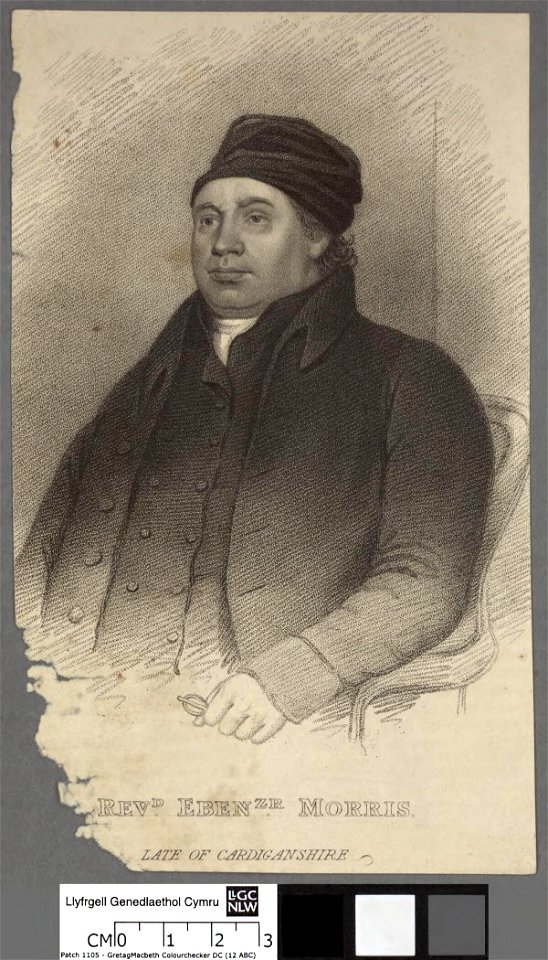 Portrait of Revd. Ebenzr. Morris, late of Cardiganshire (4671029)