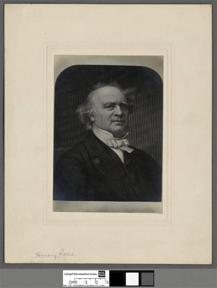 Portrait of Rev. Henry Rees (4671853)