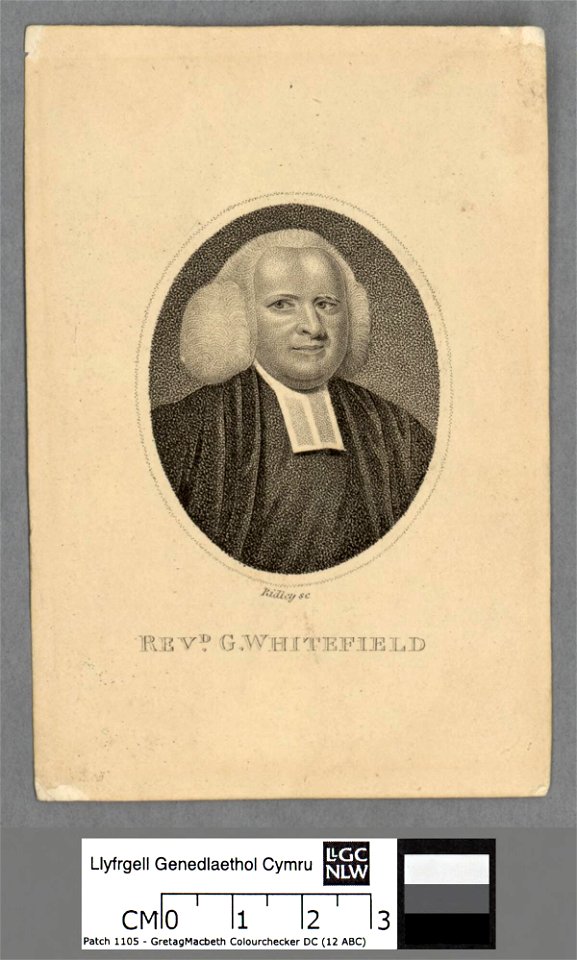 Portrait of Revd. G. Whitefield (4673987)