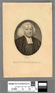 Portrait of Revd. G. Whitefield (4673987)