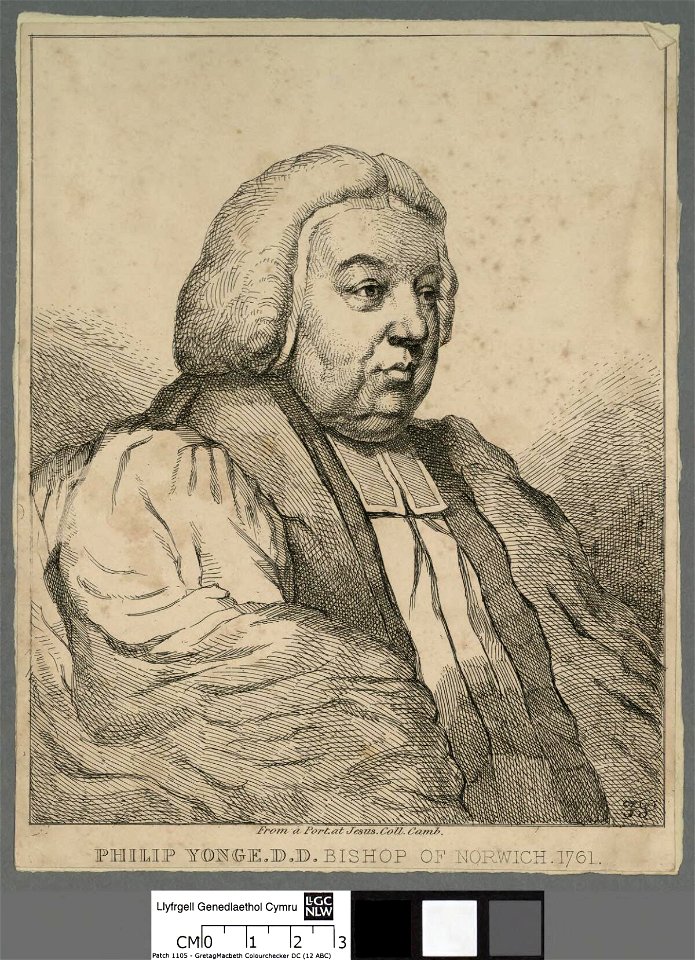 Portrait of Philip Yonge D.D (4671083)