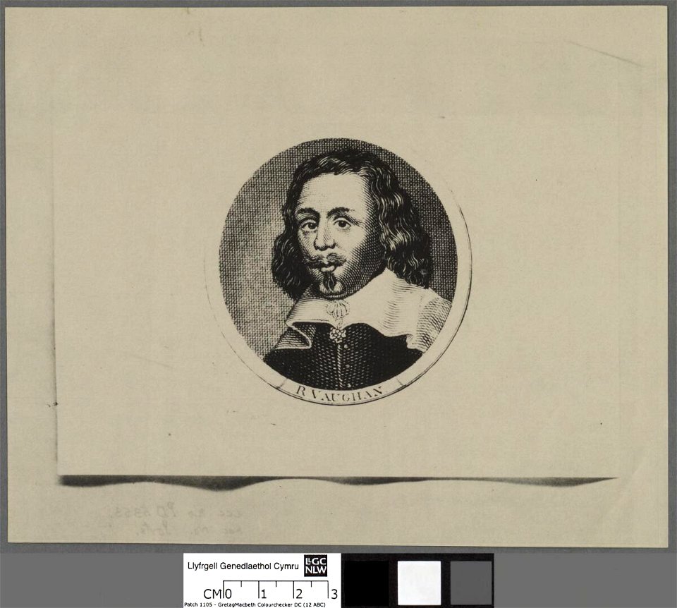 Portrait of R. Vaughan (4669981)
