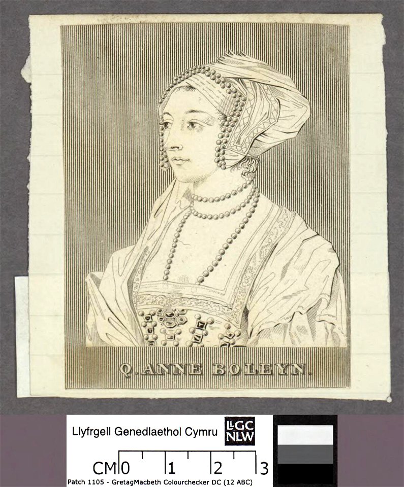 Portrait of Q. Anne Boleyn (4674042)