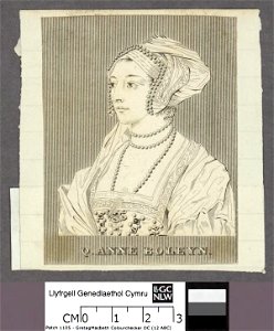 Portrait of Q. Anne Boleyn (4674042)