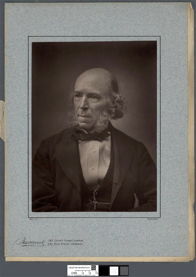 Portrait of R. Thomas (Ap Vychan) (4671038)
