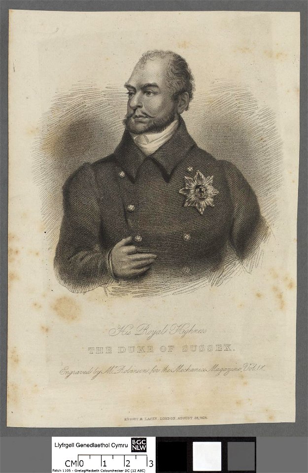Portrait of Royal Highness The Duke of Sussex (4672396)