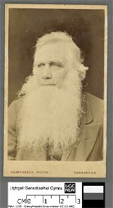 Portrait of Rev. R. Ellis, 'Cynddelw' (4674367)