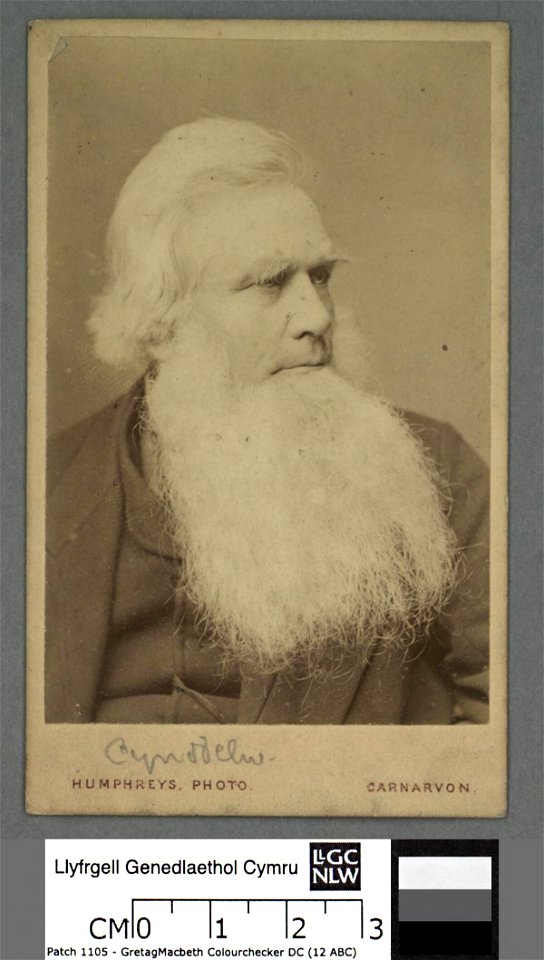 Portrait of Robert Ellis, 'Cynddelw' (4674371)