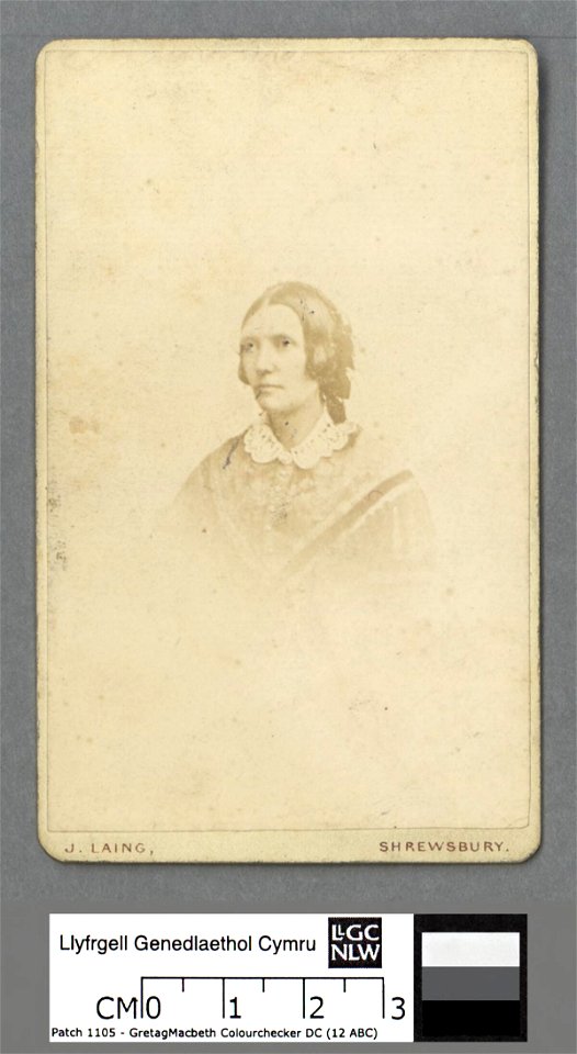 Portrait of Portrait of Catherine Mary Evans's mother (4670690)