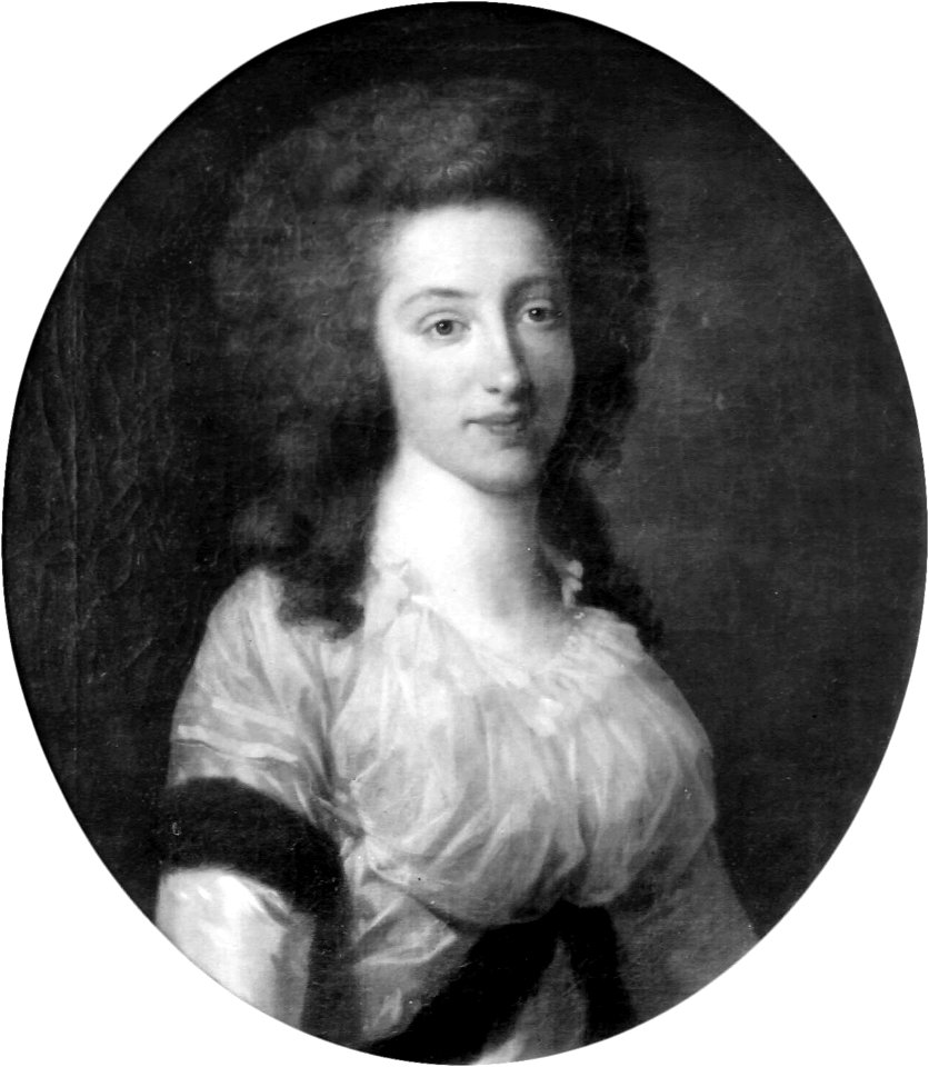 Portrait of Sara Maria van Loon by Johann Friedrich August Tischbein Limburgs Museum 2169