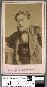 Portrait of Rev C. H. Spurgeon (4671160)